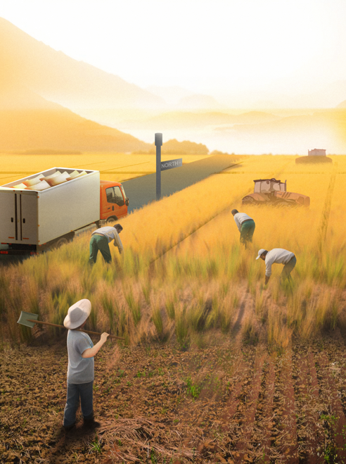 Crop Migration and Environmental Sustainability
